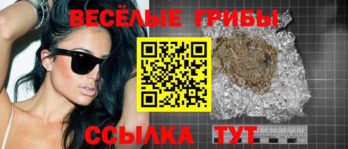 Галлюциногенные грибы Psilocybine cubensis Выкса