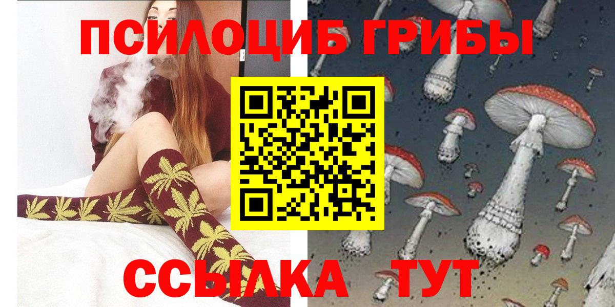 Псилоцибиновые грибы Psilocybine cubensis  Вход с VPN  Выкса 
