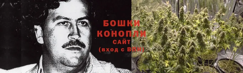 МЕГА ссылки  Выкса  Канабис White Widow 